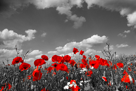 Remembrance Sunday- Lest we&nbsp;forget