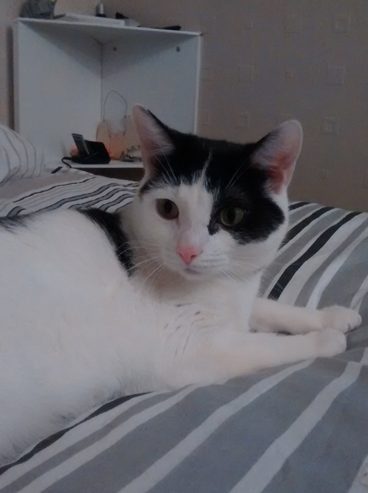 2014-12-06-12-43-51_photo