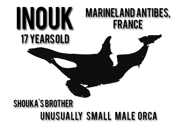 18 - Inouk