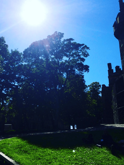 Day Twenty: Appreciate the Sun |&nbsp;#30DaysWild