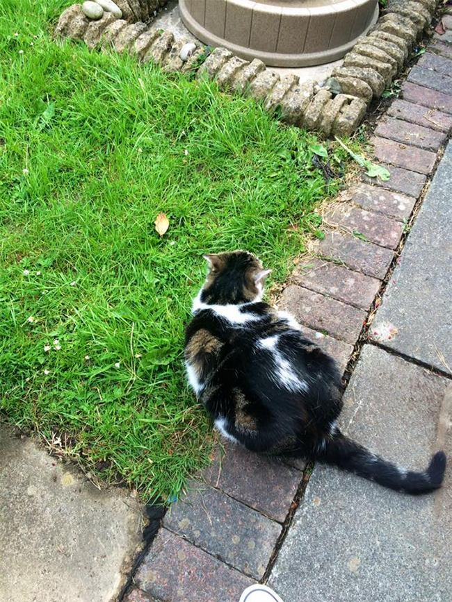 Day Seven: Make a Wild Friend |&nbsp;#30DaysWild