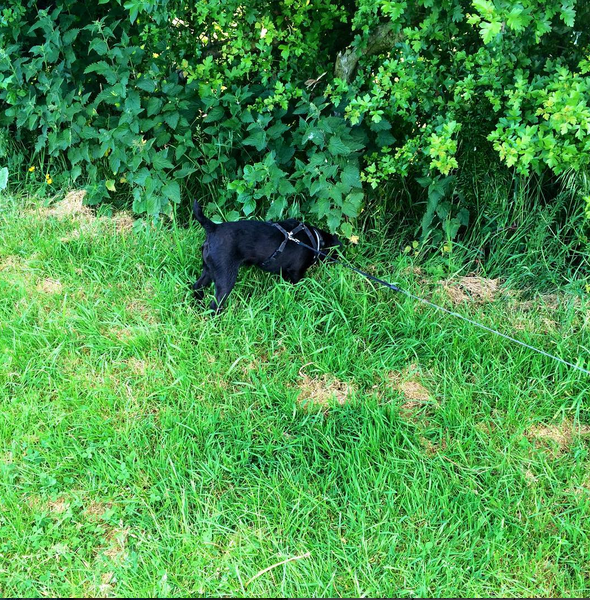 Day Twelve: Get Someone Else to Appreciate Nature |&nbsp;#30DaysWild