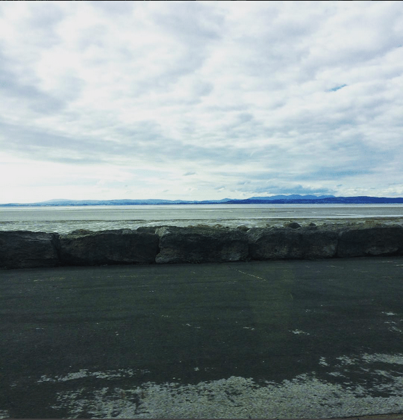 Day Twenty One: Appreciate My Surroundings |&nbsp;#30DaysWild