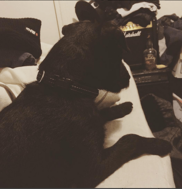 Day Twenty Two: Glad to be Home! |&nbsp;#30DaysWild