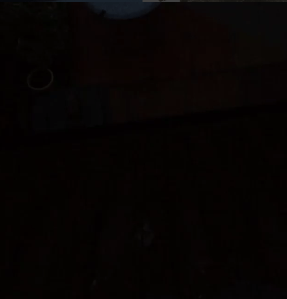 Day Twenty Four: Sit Back and Listen to the Rain |&nbsp;#30DaysWild