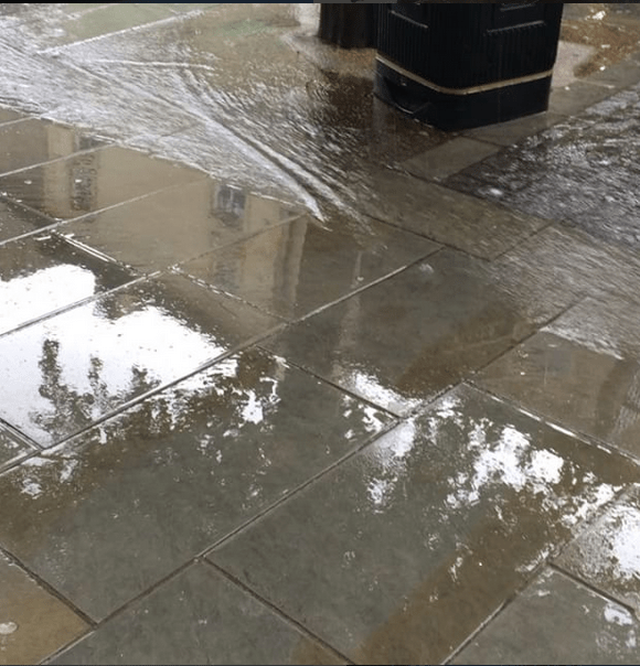 Day Twenty Five: The Rain is Pretty Heavy in Lancaster… |#30DaysWild