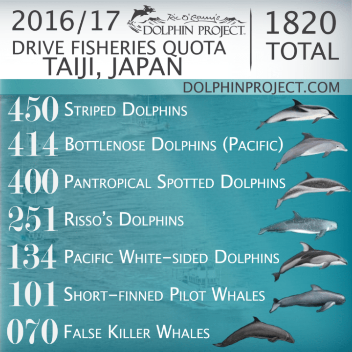 FINAL-2016-2017-Taiji-768x768