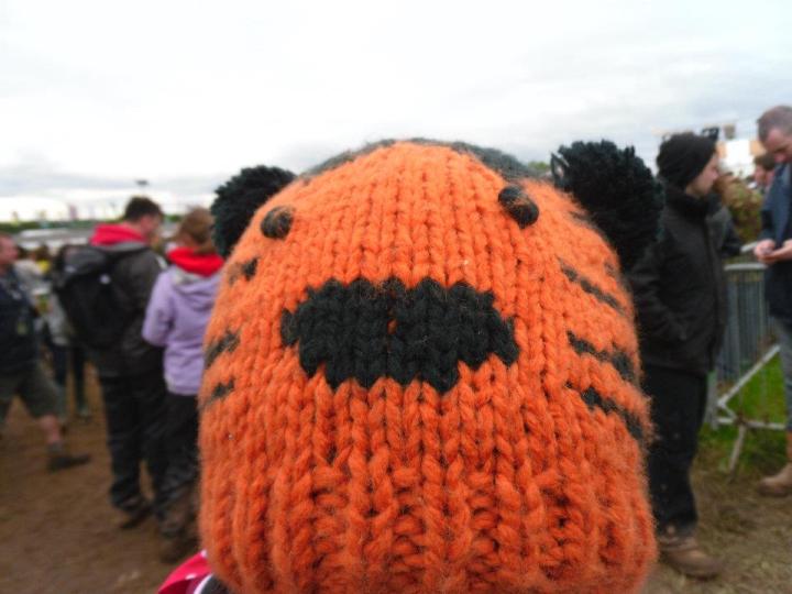 252612_10151834911505553_768612110_n