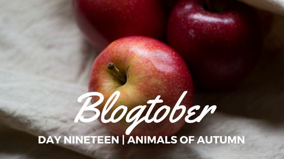 Blogtober| Day Twenty – Favourite Apple&nbsp;Recipes