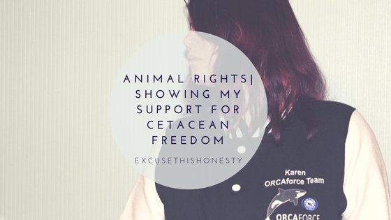 Animal Rights| Showing My Support for Cetacean&nbsp;Freedom