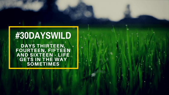 #30DaysWild | Days Thirteen, Fourteen, Fifteen and Sixteen – Life Gets In the Way&nbsp;Sometimes
