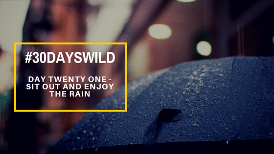 #30DaysWild | Day Twenty One – Sit Out and Enjoy the&nbsp;Rain
