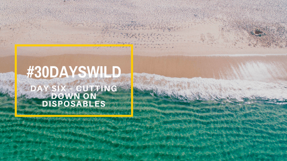 #30DaysWild| Day Six – Cutting Down on&nbsp;Disposables