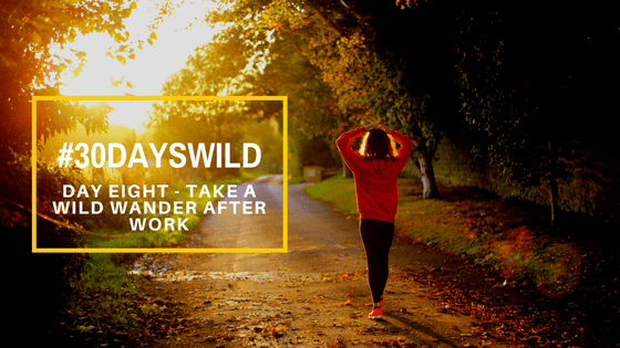 #30DaysWild| Day Eight – Take a Wild Wander After&nbsp;Work
